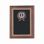 Air Force Recruiting Service Plaques, Custom Imprinted With Your Logo!