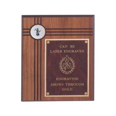 Air National Guard Plaques, Custom Imprinted With Your Logo!