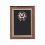 Air Force ROTC Plaques, Custom Imprinted With Your Logo!