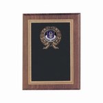 Air Force Reserve Plaques, Custom Imprinted With Your Logo!