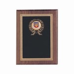 Air Combat Command Plaques, Custom Imprinted With Your Logo!
