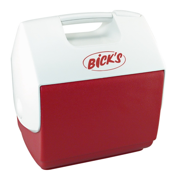 Picnic Coolers, Custom Imprinted With Your Logo!