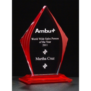 Tropar Airflyte Honor Acrylic Awards, Personalized With Your Logo!