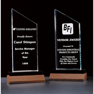Tropar Airflyte Honor Acrylic Awards, Personalized With Your Logo!