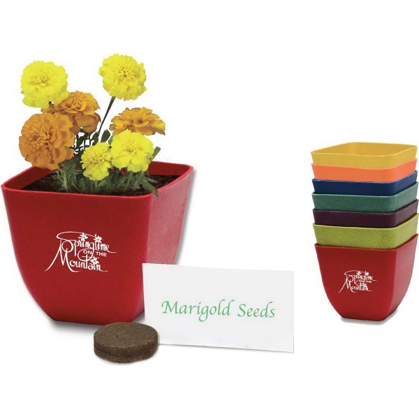 Bamboo Planters, Custom Imprinted With Your Logo!