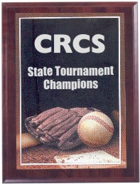 Baseball Photo Sport Plaques, Custom Imprinted With Your Logo!