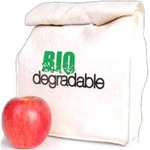 Custom Imprinted Biodegradable Lunch Sacks