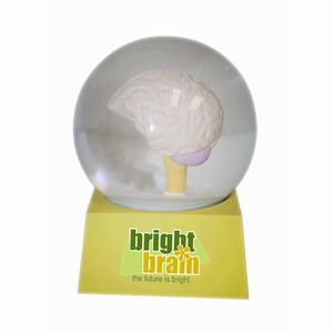 Custom Printed Brain Shaped Stock Snow Globes