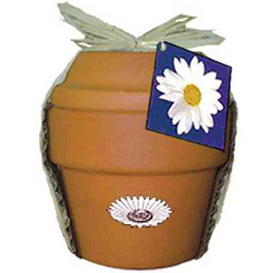 Daisy Plant Kits, Custom Printed With Your Logo!
