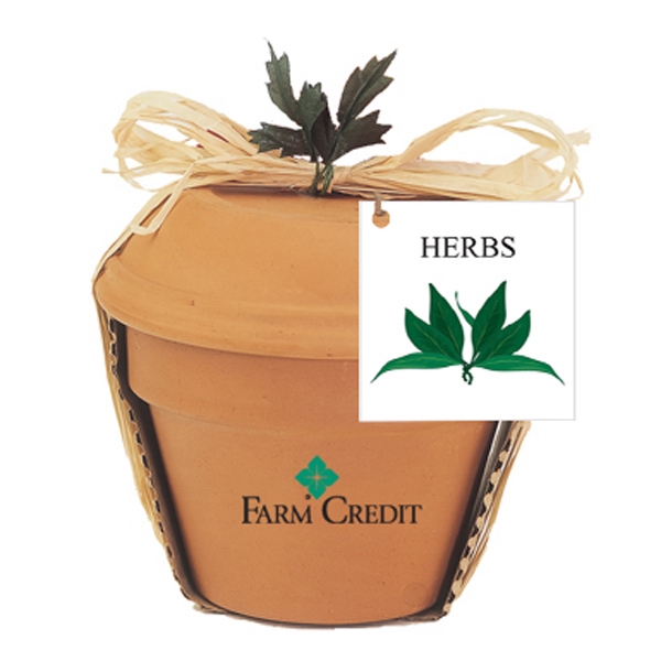 Blue Spruce Plant Kits, Custom Made With Your Logo!