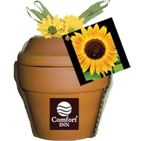 Pansy Plant Kits, Custom Printed With Your Logo!