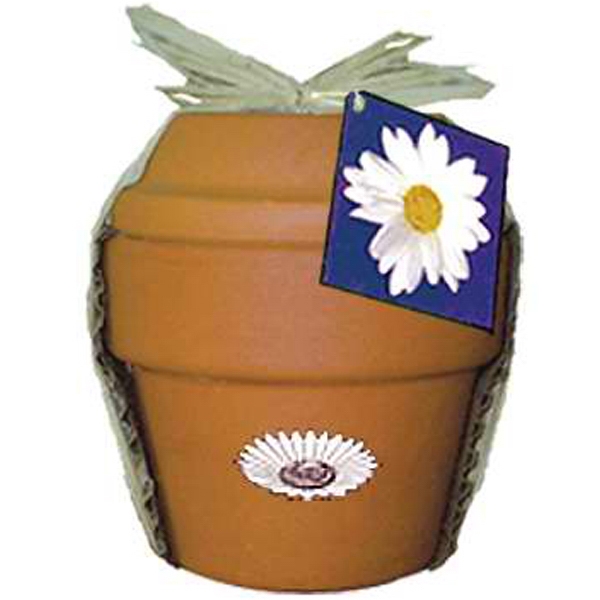 Pansy Plant Kits, Custom Printed With Your Logo!
