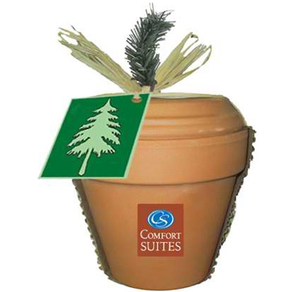 Pine Tree Plant Kits, Custom Imprinted With Your Logo!