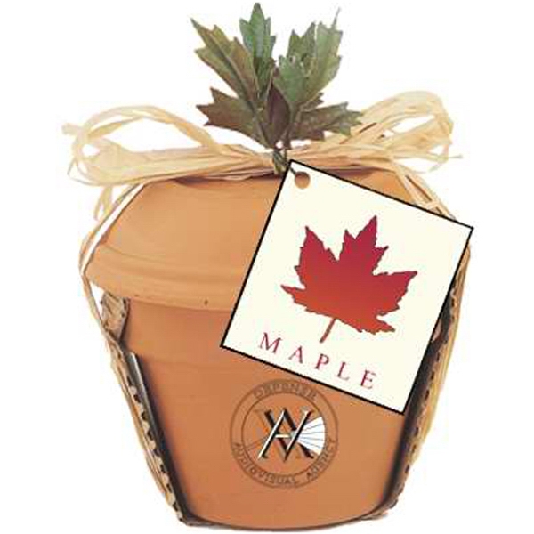 Butterfly Flower Plant Kits, Custom Decorated With Your Logo!