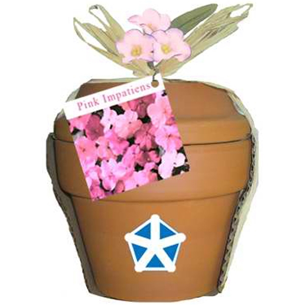 Pansy Plant Kits, Custom Printed With Your Logo!
