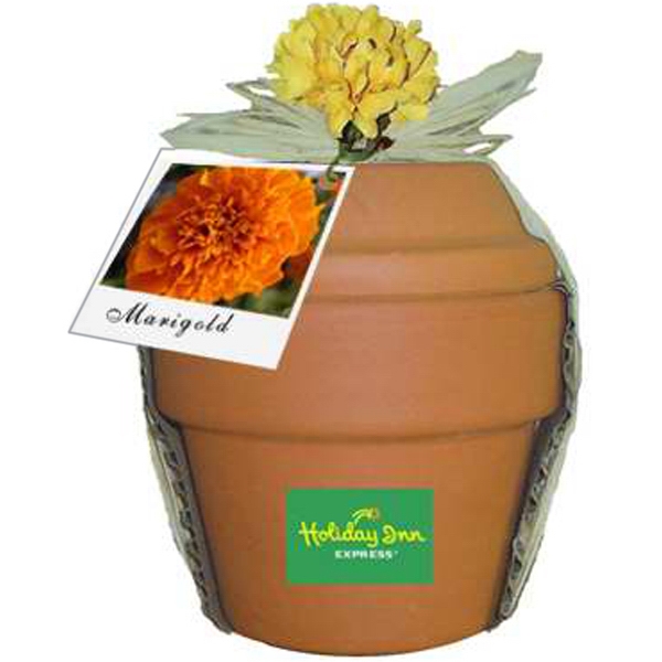Pansy Plant Kits, Custom Printed With Your Logo!