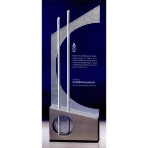Custom Printed Endeavor Stainless Crystal Awards