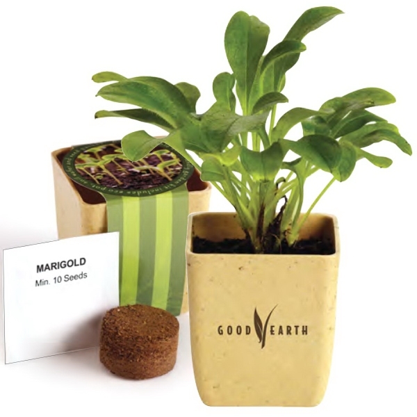Tree Starter Kits, Custom Imprinted With Your Logo!