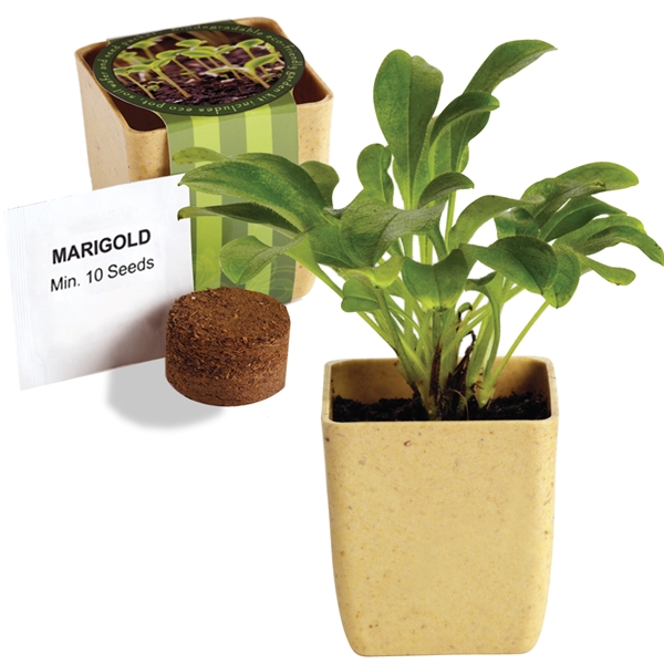 Tree Starter Kits, Custom Imprinted With Your Logo!