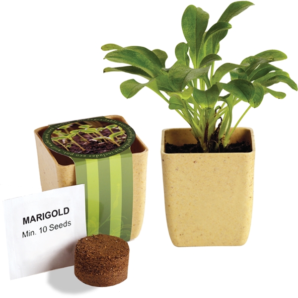Tree Starter Kits, Custom Imprinted With Your Logo!