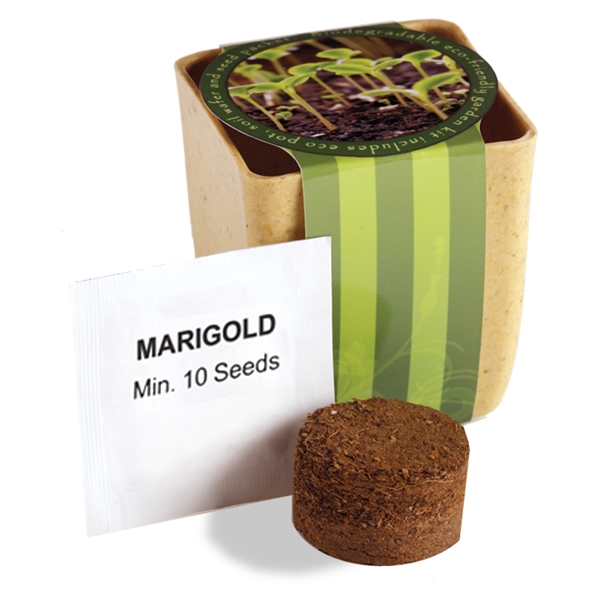 Tree Starter Kits, Custom Imprinted With Your Logo!