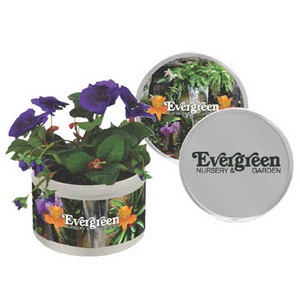 Forget Me Not Plant Kits, Custom Printed With Your Logo!