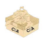 Custom Printed Gift Box Shaped Ornaments