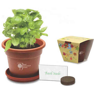 Grande Plant Grow Kits, Custom Imprinted With Your Logo!