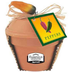 Jalapeno Pepper Plant Kits, Customized With Your Logo!