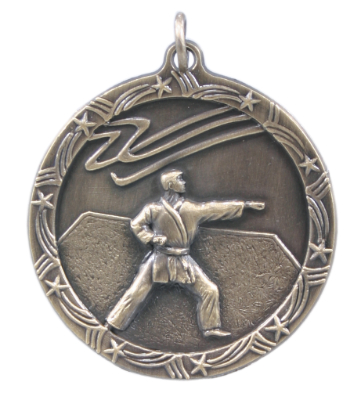 Karate Shooting Star Medals, Custom Printed With Your Logo!