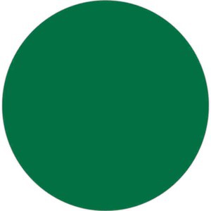 Kelly Green Solid Color Beach Balls, Custom Made With Your Logo!