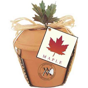 Maple Tree Plant Kits, Custom Printed With Your Logo!