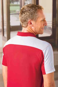 Mens Chestnut Hill Golf Polo Shirts, Customized With Your Logo!