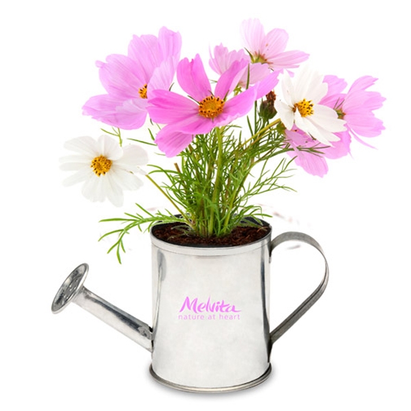 Watering Can Planter Kits, Custom Imprinted With Your Logo!