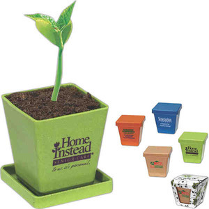 Mini Planters, Custom Imprinted With Your Logo!