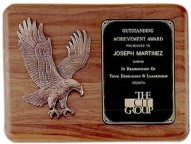 Airflyte Honor Award Plaques, Custom Engraved With Your Logo!