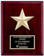 Airflyte Tropar Award Plaques Engraved, Custom Engraved With Your Logo!