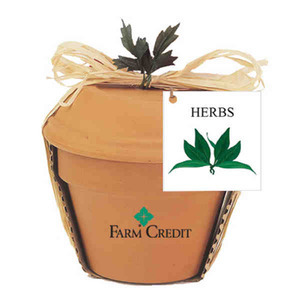 Parsley Herb Plant Kits, Custom Printed With Your Logo!