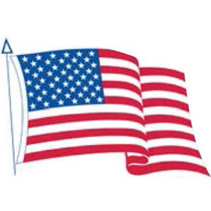 Patriotic Political Election Campaign Flags, Custom Made With Your Logo!