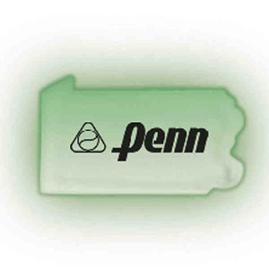 Custom Printed Pennsylvania State Shaped Lighted Necklaces