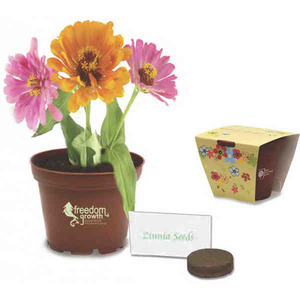 Petite Plant Grow Kits, Custom Imprinted With Your Logo!