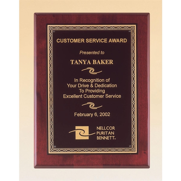 Custom Engraved Airflyte Tropar Award Plaques Engraved