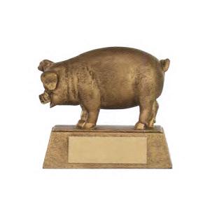 Custom Printed Pig Mascot Awards