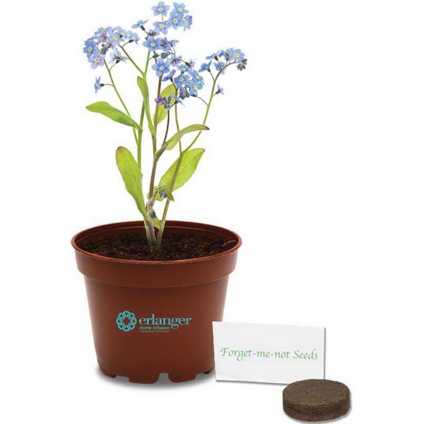 Wee Plant Grow Kits, Custom Imprinted With Your Logo!