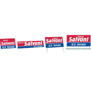 Political Campaign Political Election Campaign Kits, Custom Decorated With Your Logo!