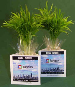 Small Live Luau Plants, Custom Printed With Your Logo!