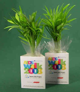 Small Live Tropical Plants, Custom Printed With Your Logo!