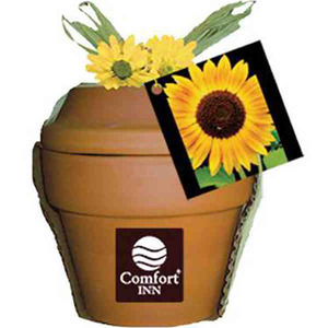 Sunflower Plant Kits, Personalized With Your Logo!