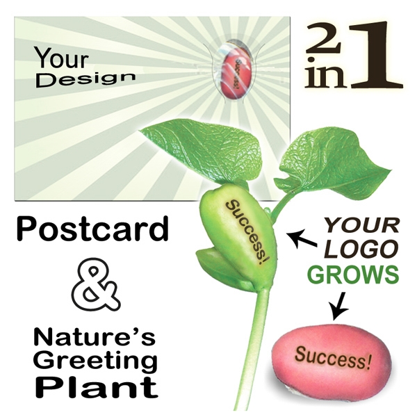 Magic Beans, Custom Imprinted With Your Logo!
