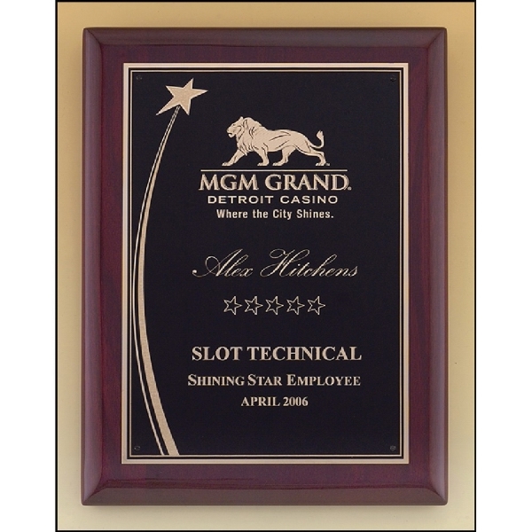 Custom Engraved Tropar Airflyte Honor Award Plaques